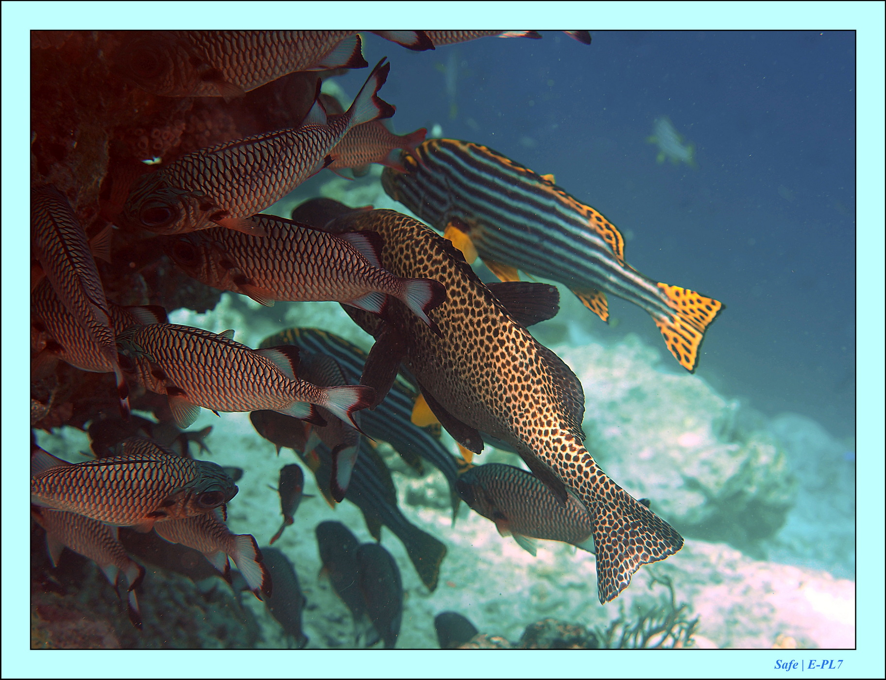 2023 - 07 - Sandies Bathala - 189